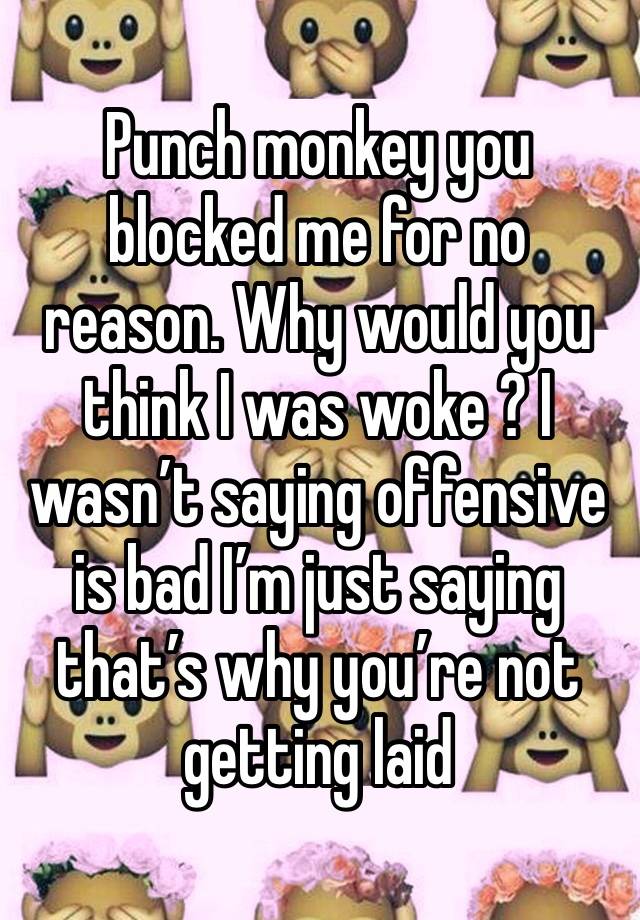 Punch monkey you blocked me for no reason. Why would you think I was woke ? I wasn’t saying offensive is bad I’m just saying that’s why you’re not getting laid 