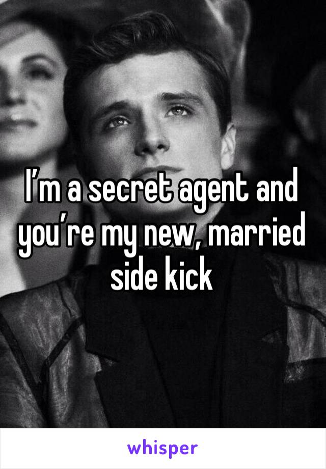 I’m a secret agent and you’re my new, married side kick 