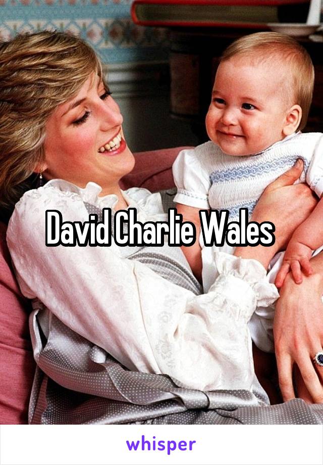 David Charlie Wales 