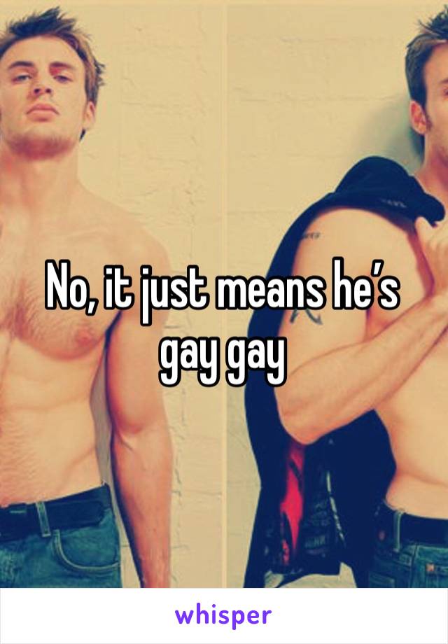 No, it just means he’s 
gay gay 