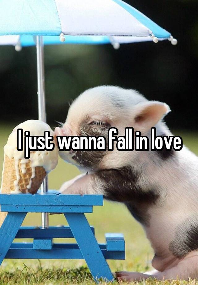 I just wanna fall in love