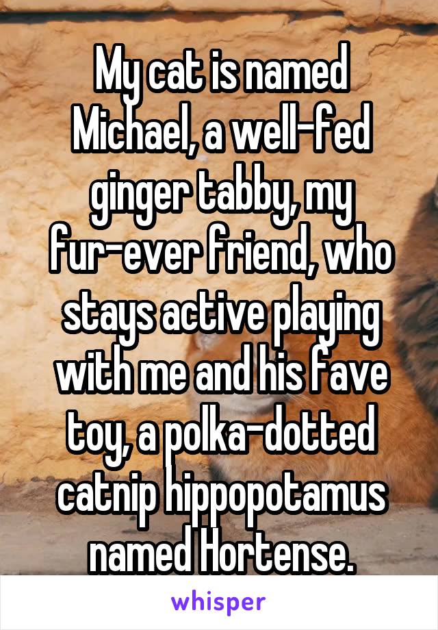 My cat is named Michael, a well-fed ginger tabby, my fur-ever friend, who stays active playing with me and his fave toy, a polka-dotted catnip hippopotamus named Hortense.