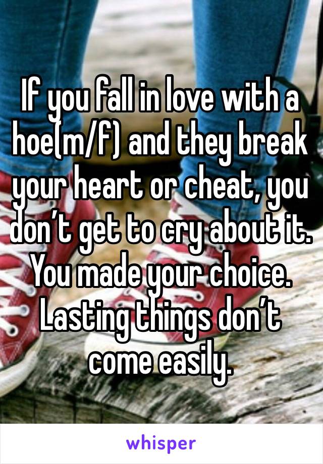 If you fall in love with a hoe(m/f) and they break your heart or cheat, you don’t get to cry about it. You made your choice. Lasting things don’t come easily.