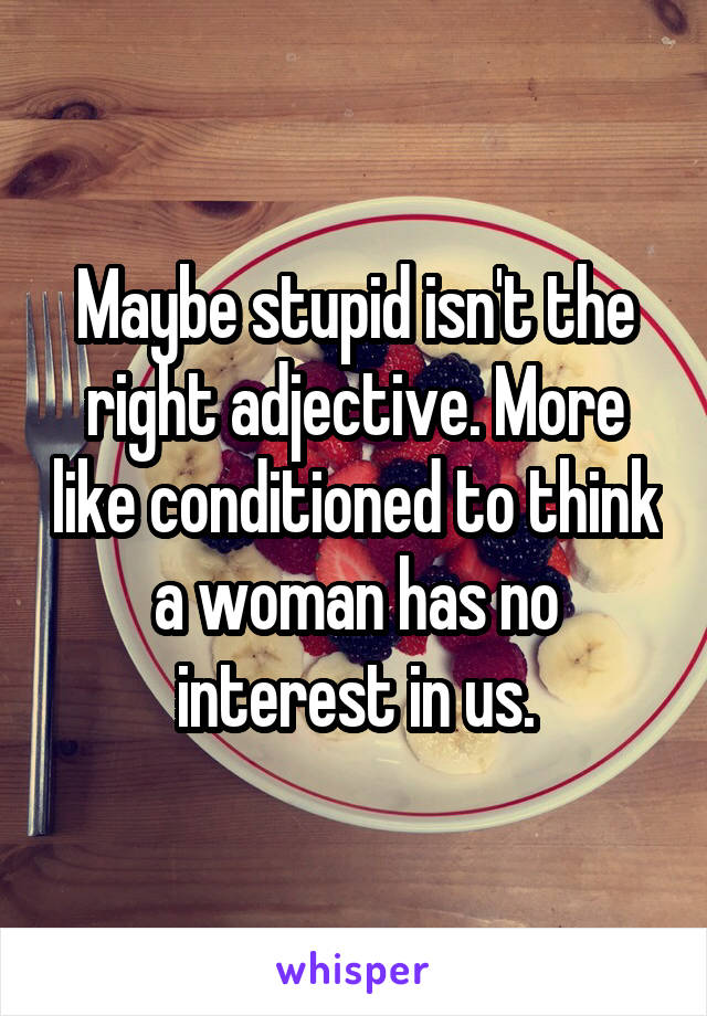 Maybe stupid isn't the right adjective. More like conditioned to think a woman has no interest in us.