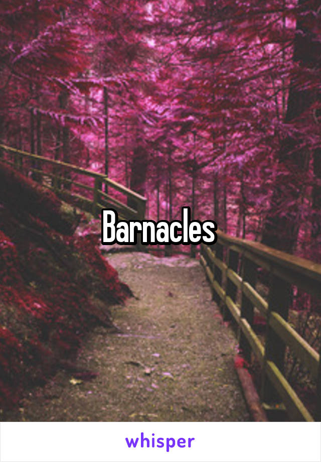 Barnacles 