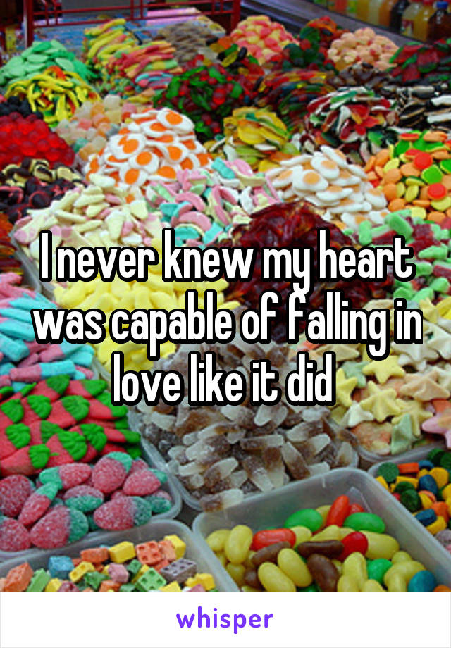 I never knew my heart was capable of falling in love like it did 