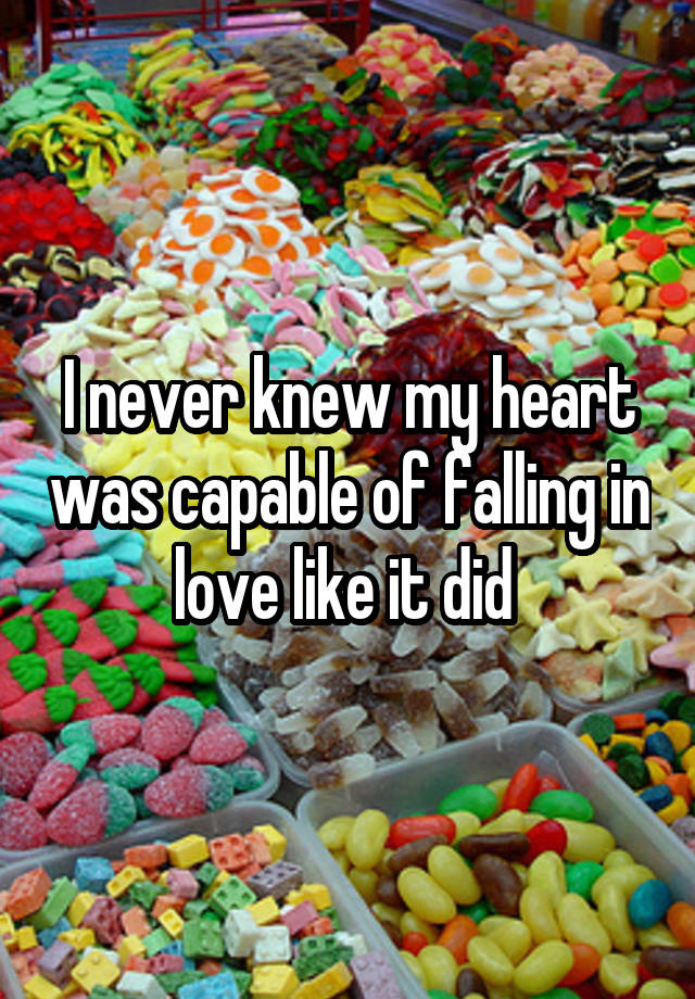 I never knew my heart was capable of falling in love like it did 