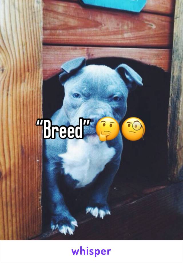 “Breed” 🤔🧐