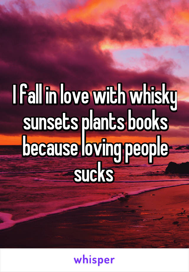 I fall in love with whisky sunsets plants books because loving people sucks 