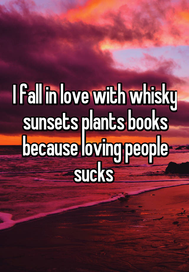 I fall in love with whisky sunsets plants books because loving people sucks 