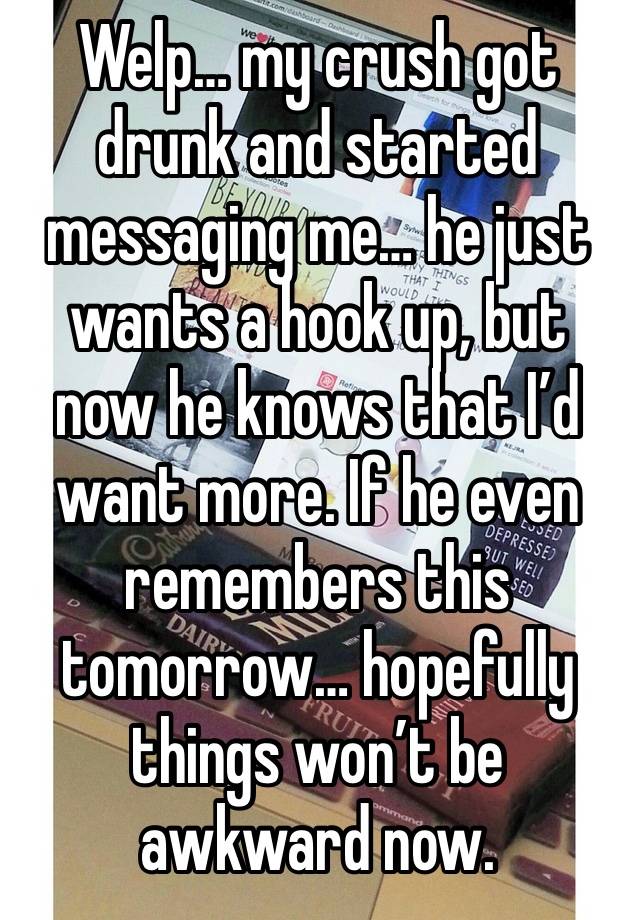 Welp… my crush got drunk and started messaging me… he just wants a hook up, but now he knows that I’d want more. If he even remembers this tomorrow… hopefully things won’t be awkward now.