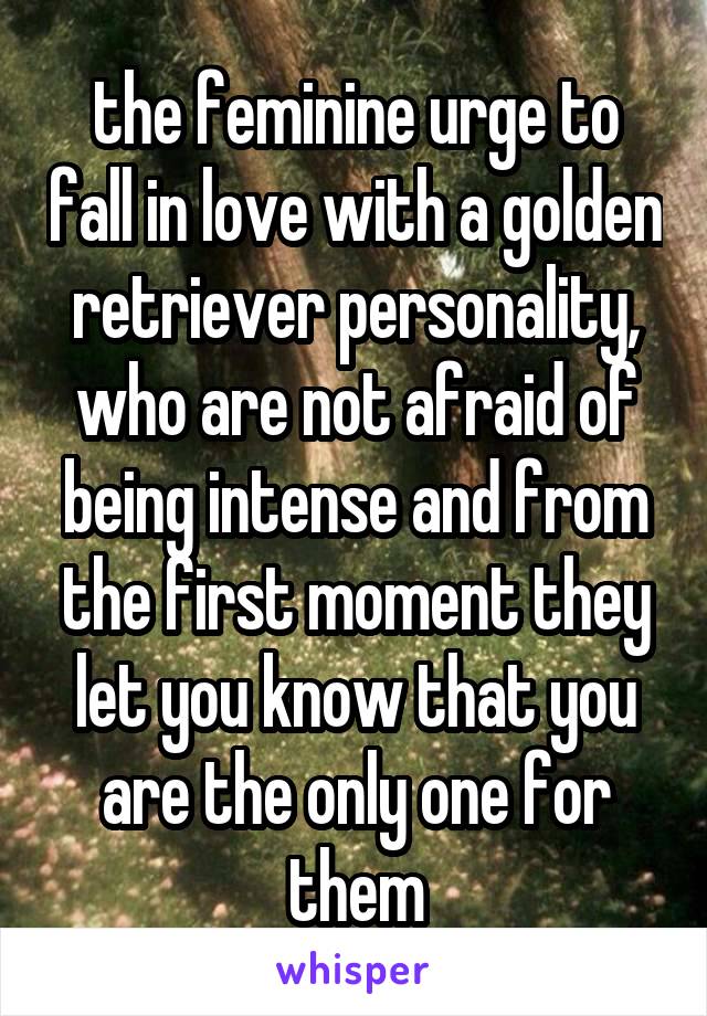 the feminine urge to fall in love with a golden retriever personality, who are not afraid of being intense and from the first moment they let you know that you are the only one for them