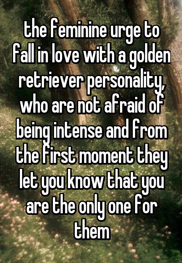 the feminine urge to fall in love with a golden retriever personality, who are not afraid of being intense and from the first moment they let you know that you are the only one for them