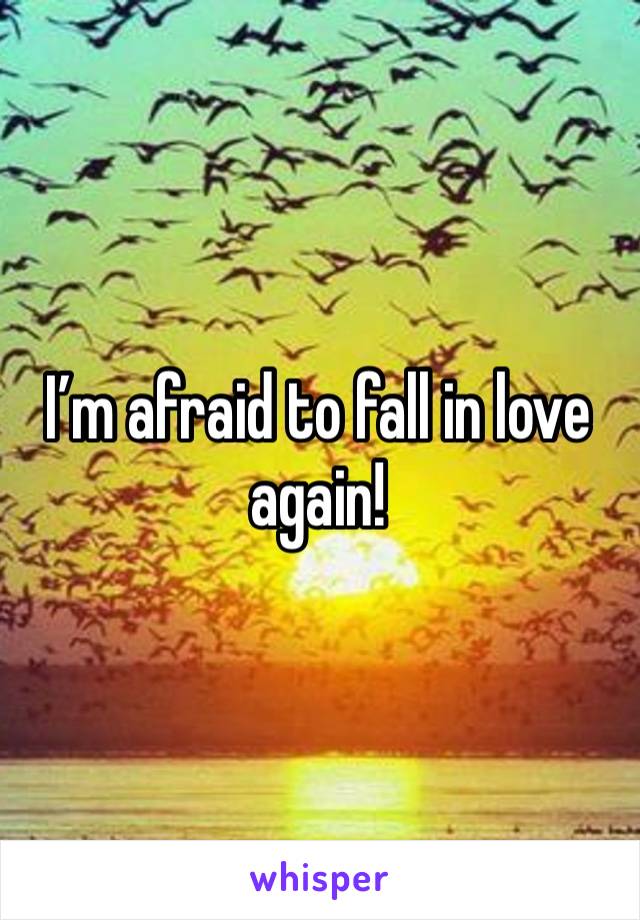 I’m afraid to fall in love again!