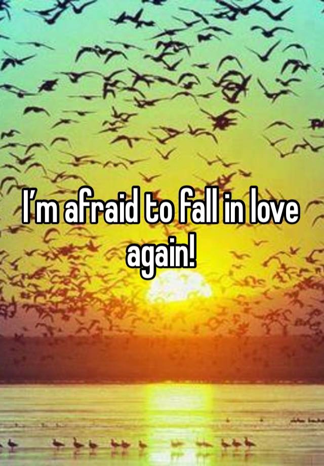 I’m afraid to fall in love again!