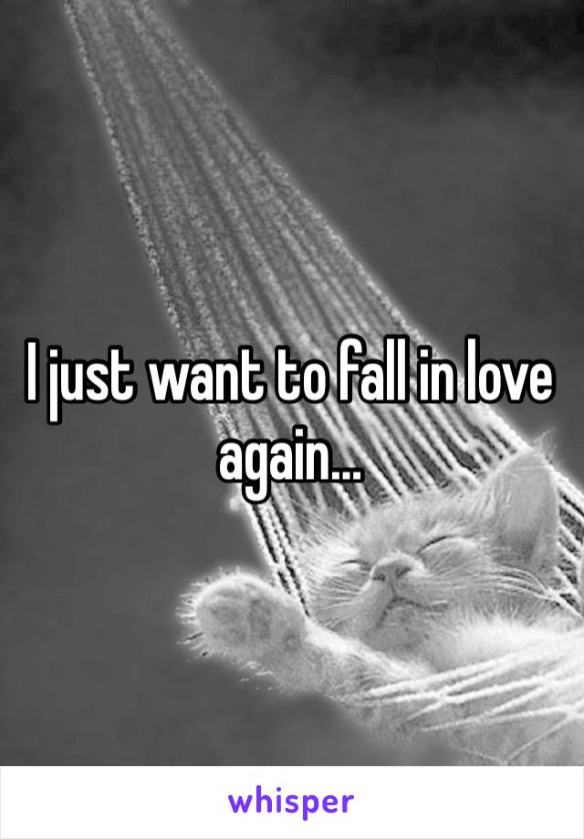 I just want to fall in love again… 