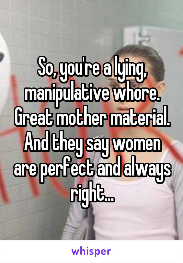 So, you're a lying, manipulative whore. Great mother material. And they say women are perfect and always right...