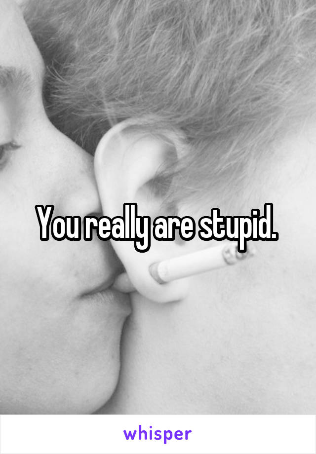 You really are stupid. 