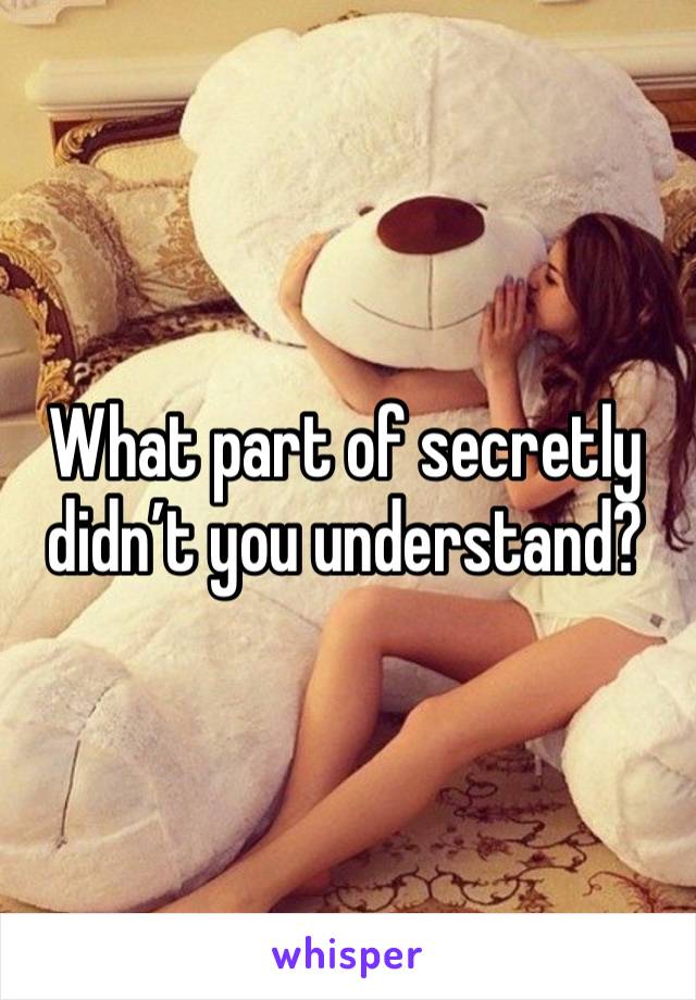 What part of secretly didn’t you understand?