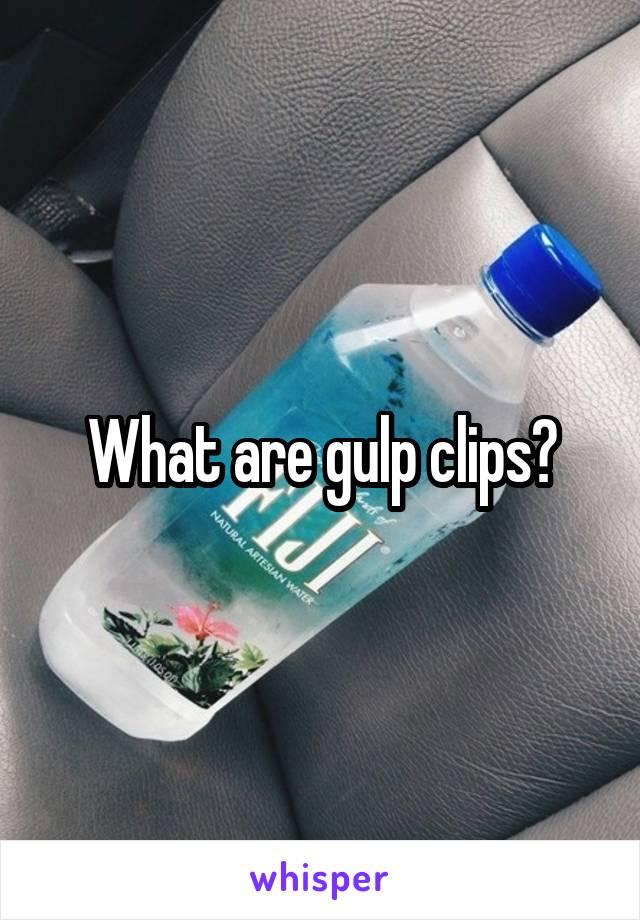 What are gulp clips?