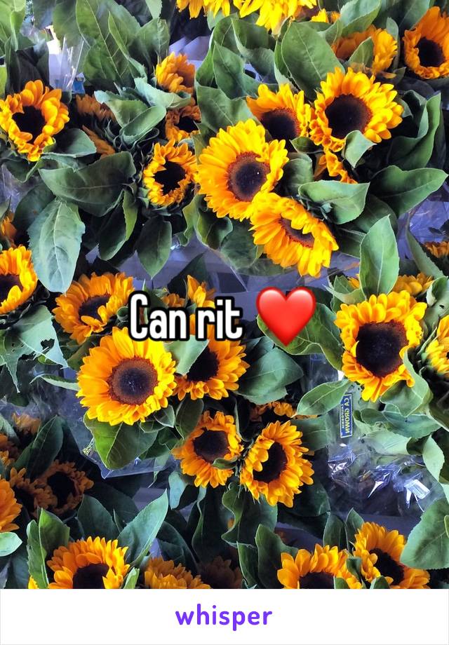 Can rit ❤️