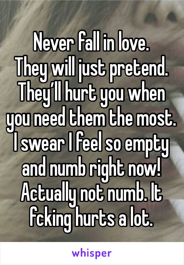 Never fall in love.
They will just pretend.
They’ll hurt you when you need them the most.
I swear I feel so empty and numb right now!
Actually not numb. It fcking hurts a lot. 