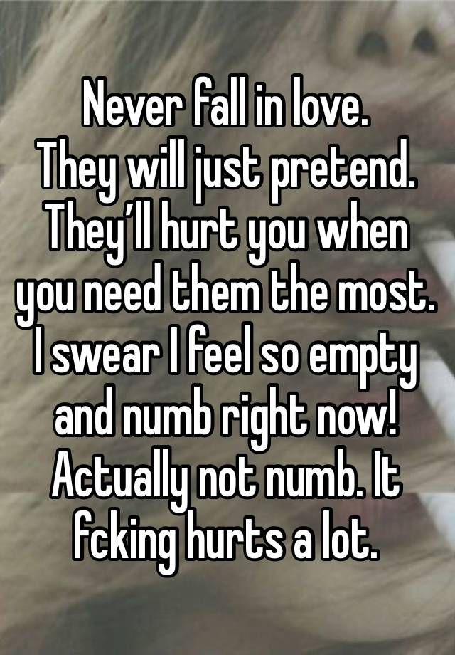 Never fall in love.
They will just pretend.
They’ll hurt you when you need them the most.
I swear I feel so empty and numb right now!
Actually not numb. It fcking hurts a lot. 