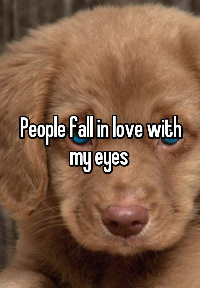 People fall in love with my eyes 