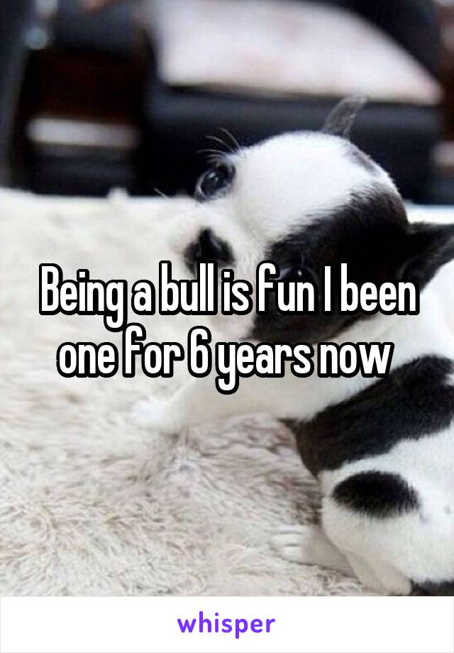 Being a bull is fun I been one for 6 years now 