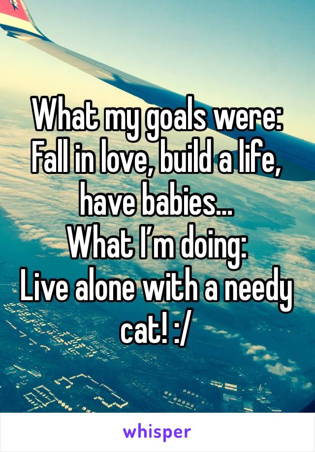 What my goals were:
Fall in love, build a life, have babies…
What I’m doing:
Live alone with a needy cat! :/