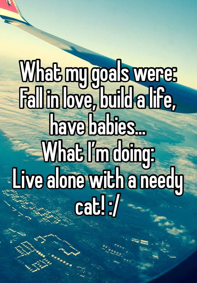 What my goals were:
Fall in love, build a life, have babies…
What I’m doing:
Live alone with a needy cat! :/