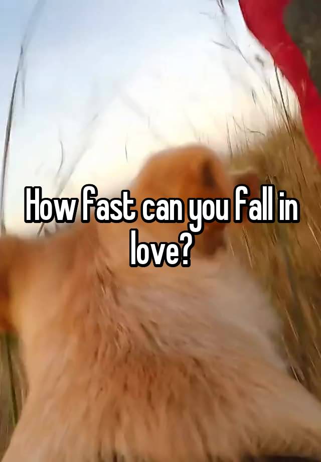 How fast can you fall in love?