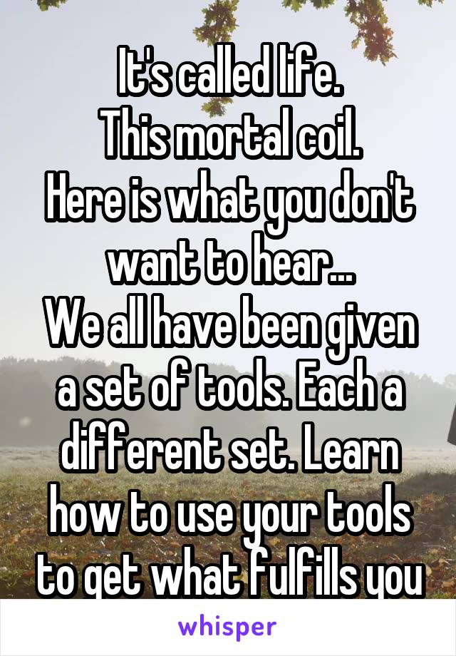 It's called life.
This mortal coil.
Here is what you don't want to hear...
We all have been given a set of tools. Each a different set. Learn how to use your tools to get what fulfills you