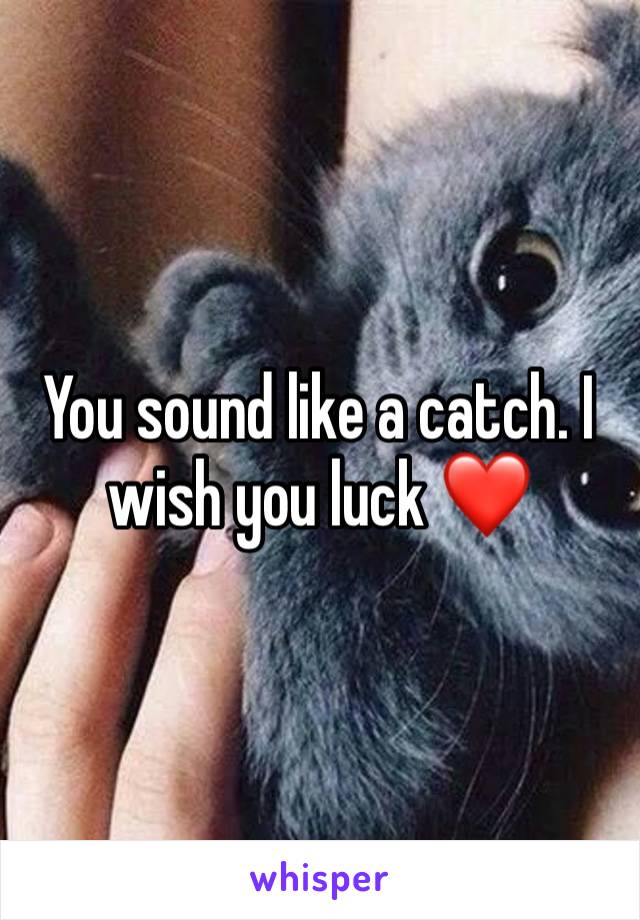 You sound like a catch. I wish you luck ❤️