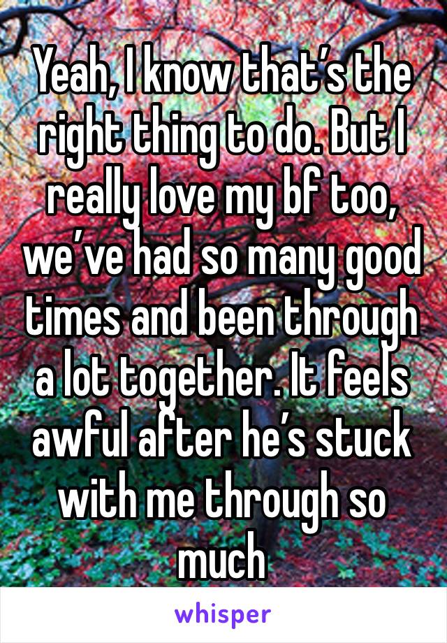 Yeah, I know that’s the right thing to do. But I really love my bf too, we’ve had so many good times and been through a lot together. It feels awful after he’s stuck with me through so much