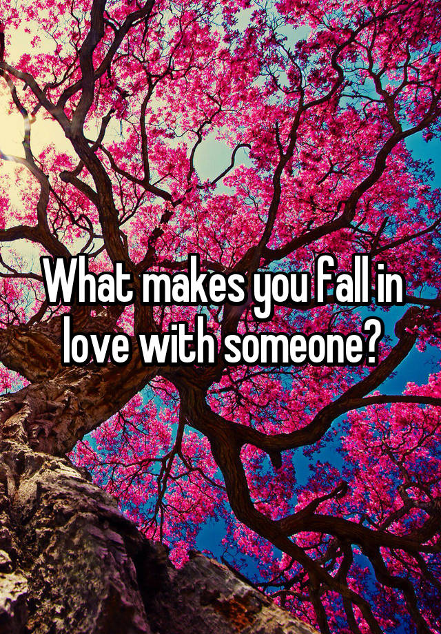 What makes you fall in love with someone?