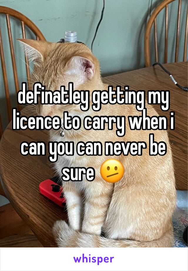 definatley getting my licence to carry when i can you can never be sure 🫤