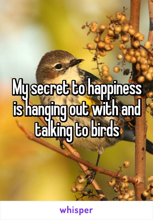 My secret to happiness is hanging out with and talking to birds