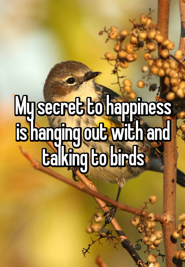 My secret to happiness is hanging out with and talking to birds