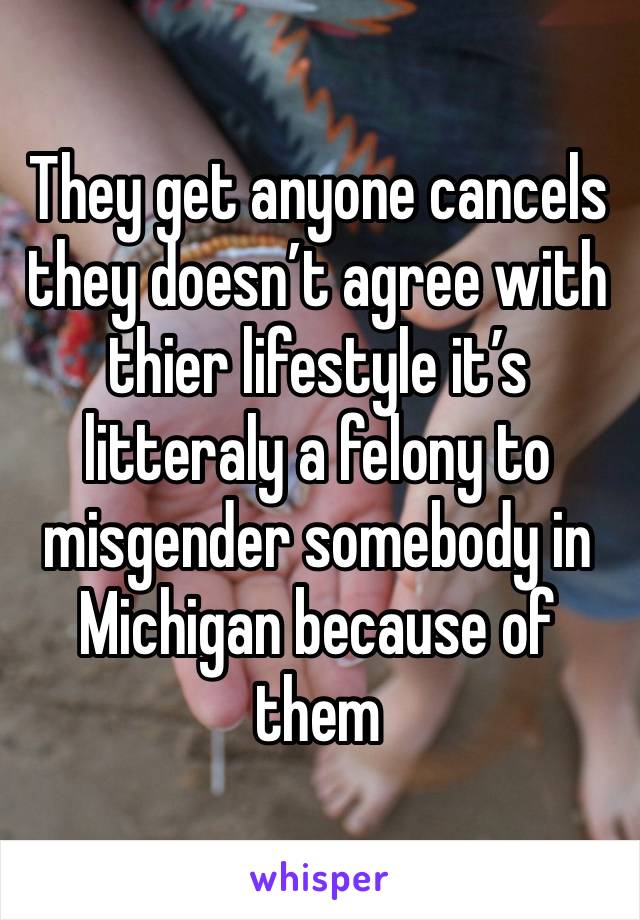 They get anyone cancels they doesn’t agree with thier lifestyle it’s litteraly a felony to misgender somebody in Michigan because of them