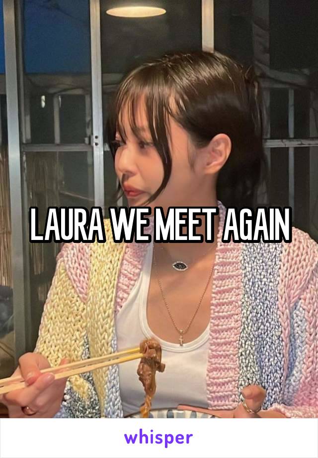 LAURA WE MEET AGAIN