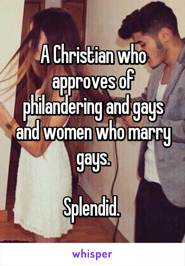 A Christian who approves of philandering and gays and women who marry gays.

Splendid. 