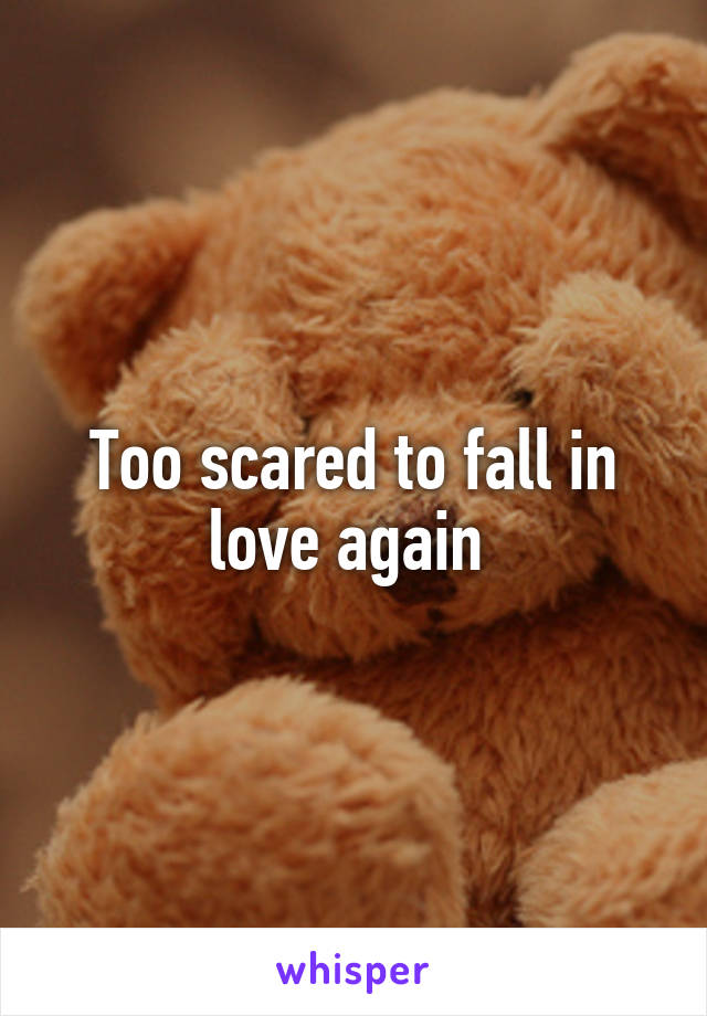 Too scared to fall in love again 