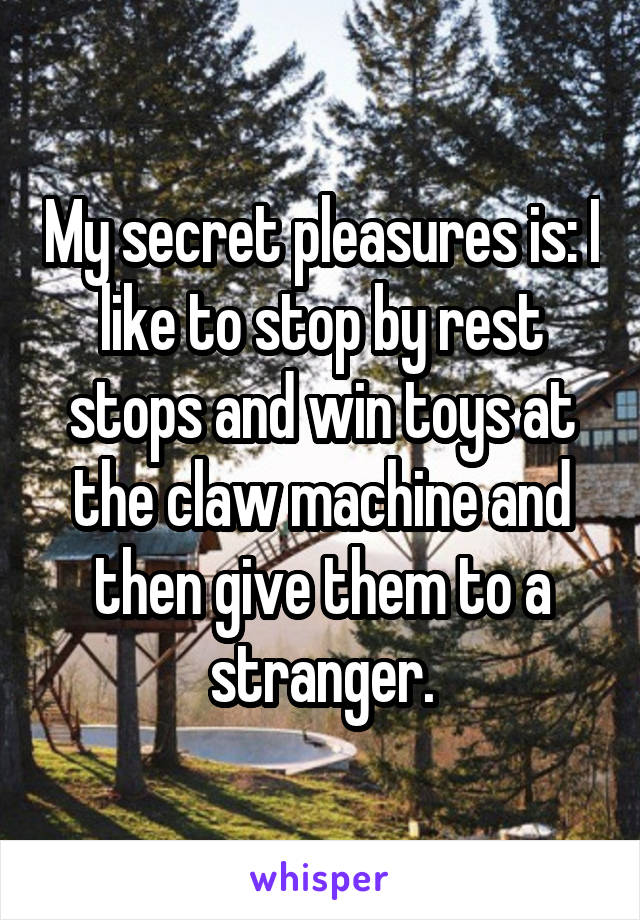 My secret pleasures is: I like to stop by rest stops and win toys at the claw machine and then give them to a stranger.