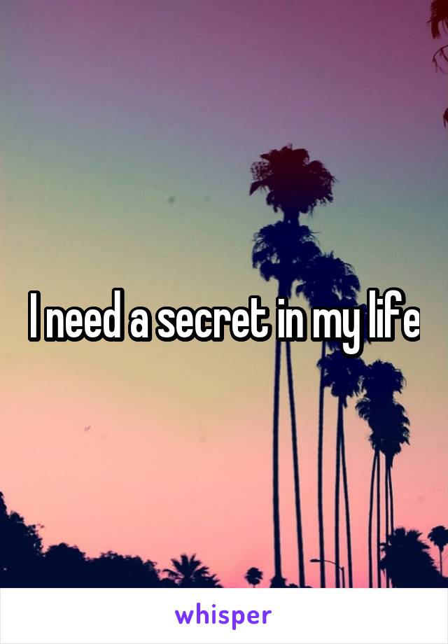 I need a secret in my life