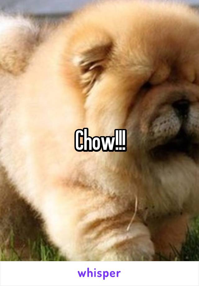 Chow!!!