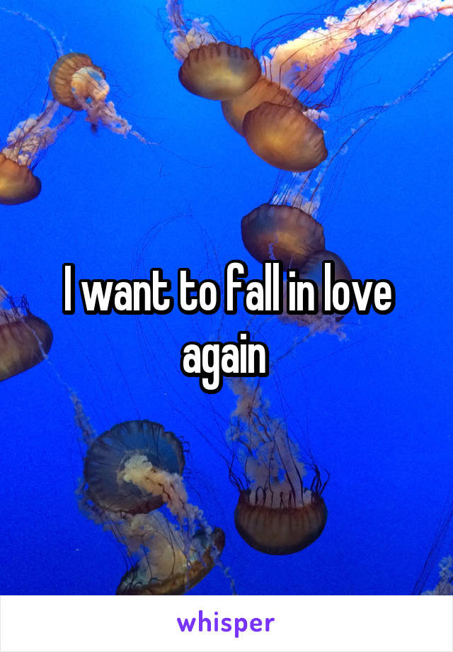 I want to fall in love again 