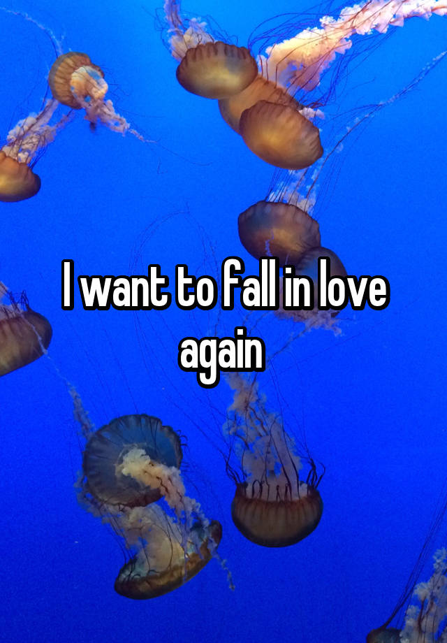 I want to fall in love again 