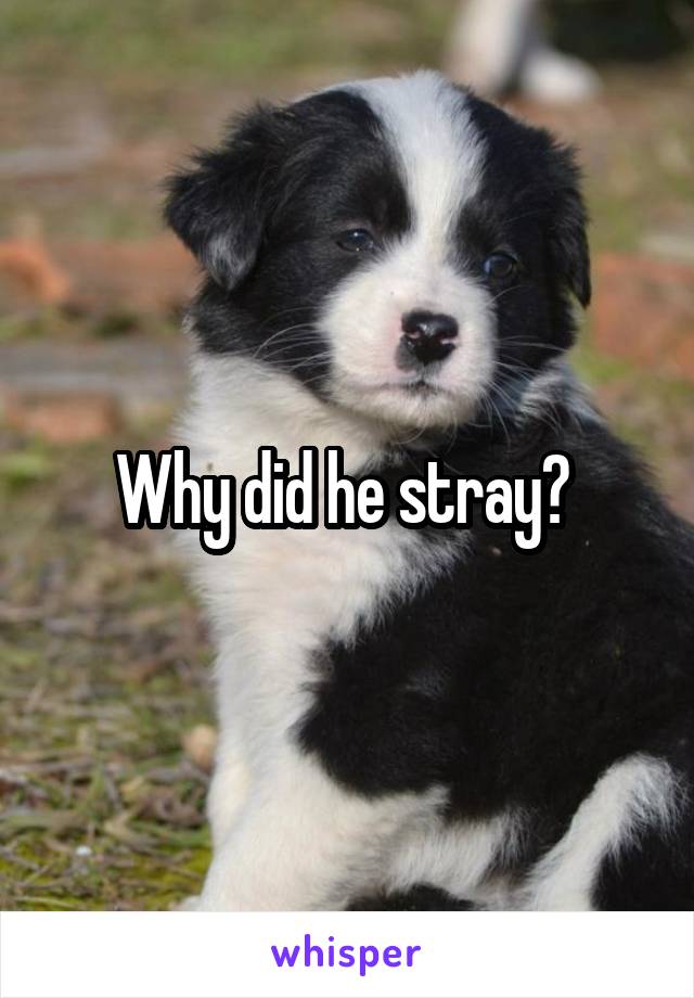 Why did he stray? 