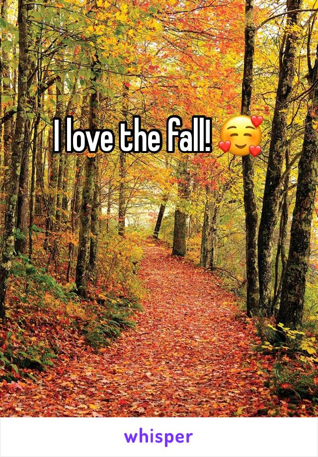 I love the fall! 🥰